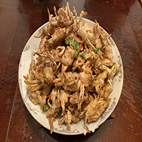 طفل رضيع